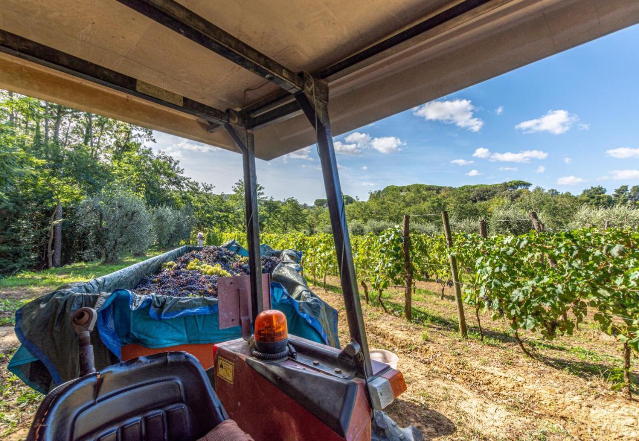 Podere Sant'Antonio Fauglia ภายนอก รูปภาพ