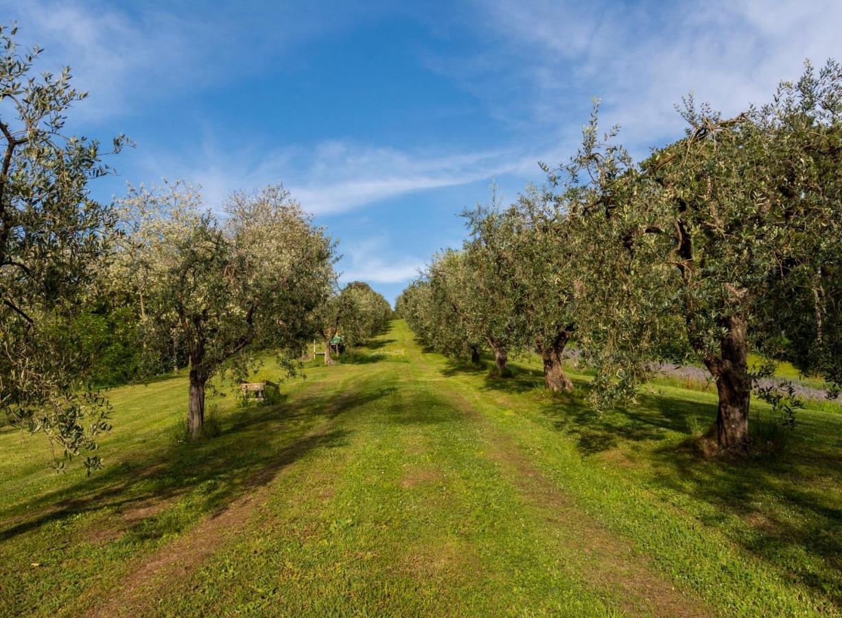 Podere Sant'Antonio Fauglia ภายนอก รูปภาพ
