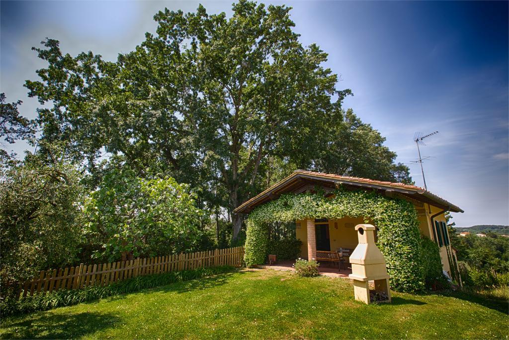 Podere Sant'Antonio Fauglia ภายนอก รูปภาพ