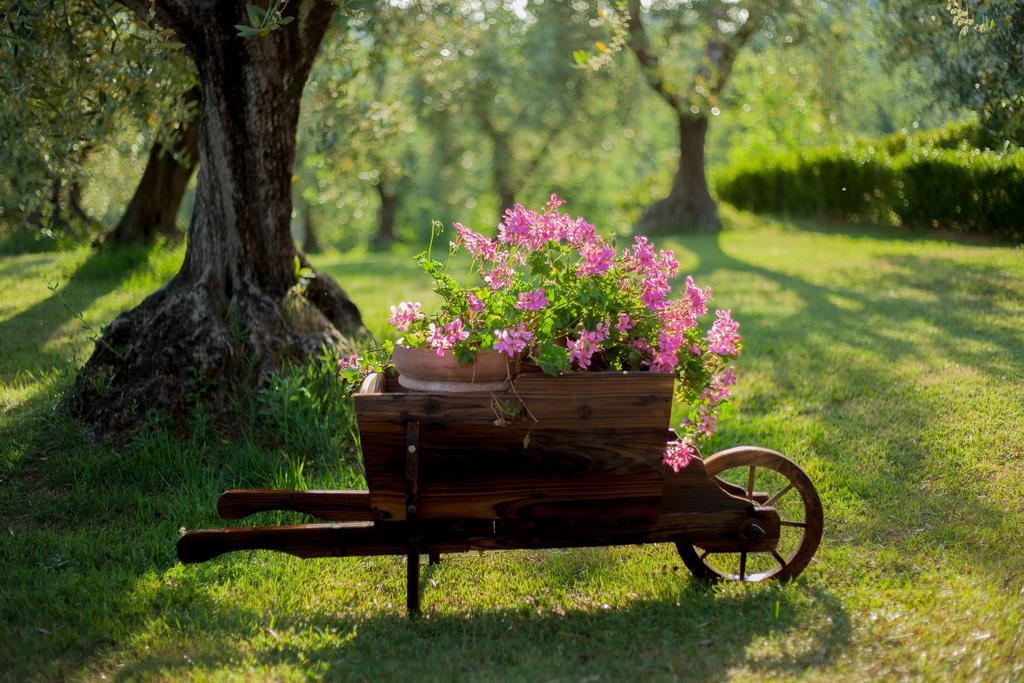 Podere Sant'Antonio Fauglia ภายนอก รูปภาพ