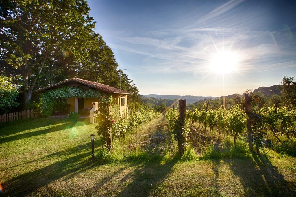 Podere Sant'Antonio Fauglia ภายนอก รูปภาพ
